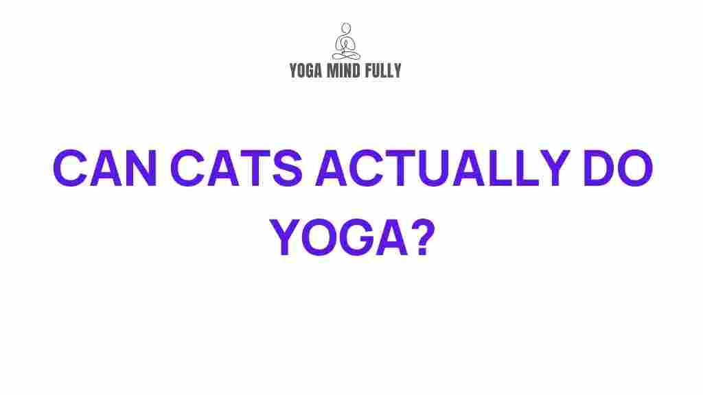 feline-yoga-mysteries