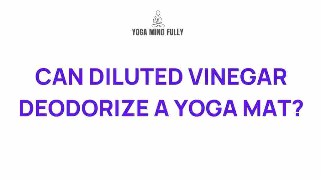 vinegar-deodorize-yoga-mat
