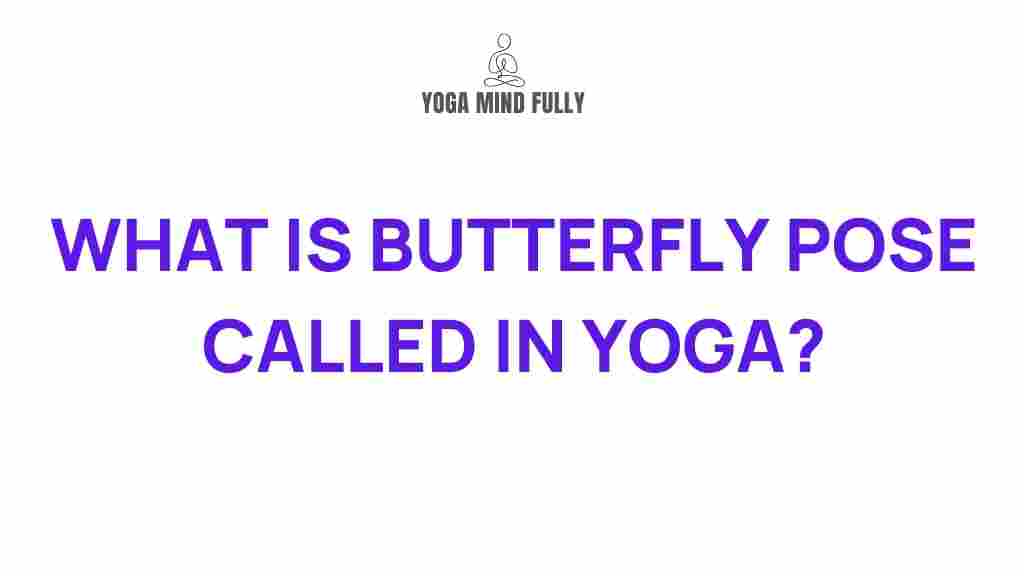 butterfly-pose-yoga