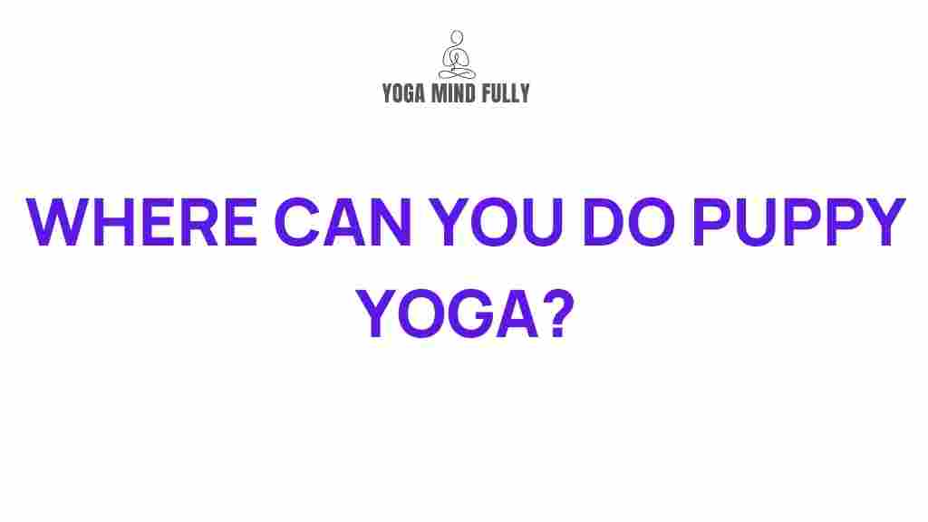 puppy-yoga-experience