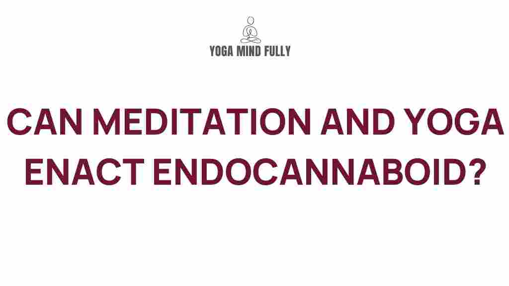 meditation-yoga-endocannabinoids