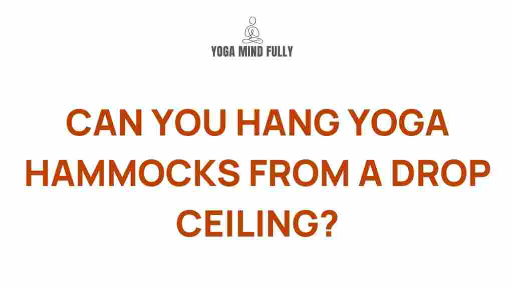 hanging-yoga-hammocks-drop-ceilings