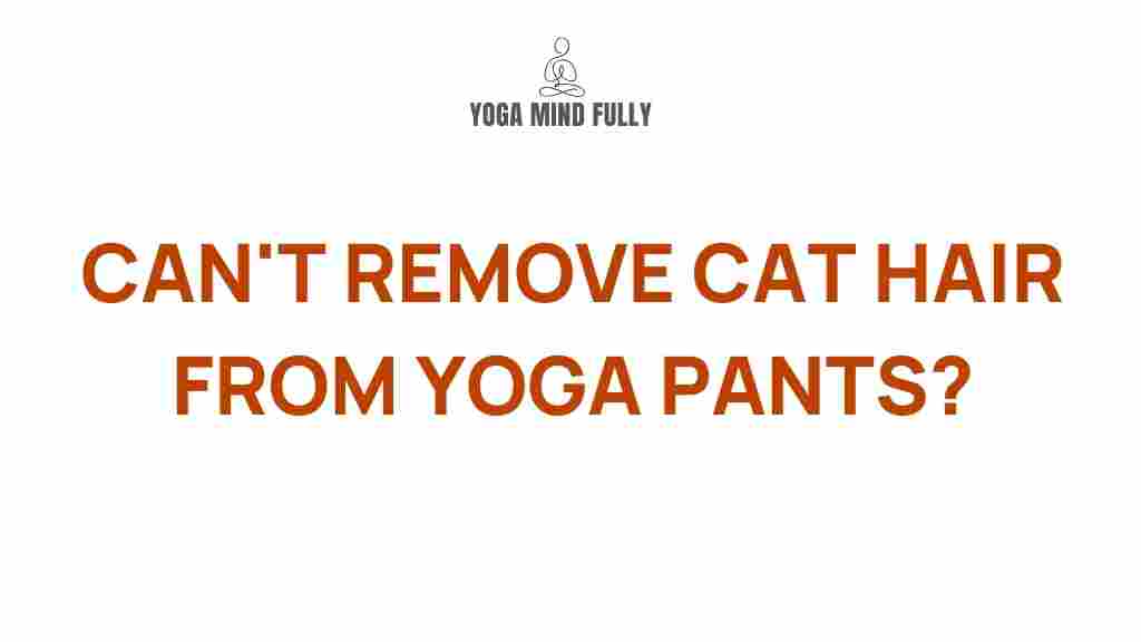 removing-cat-hair-yoga-pants
