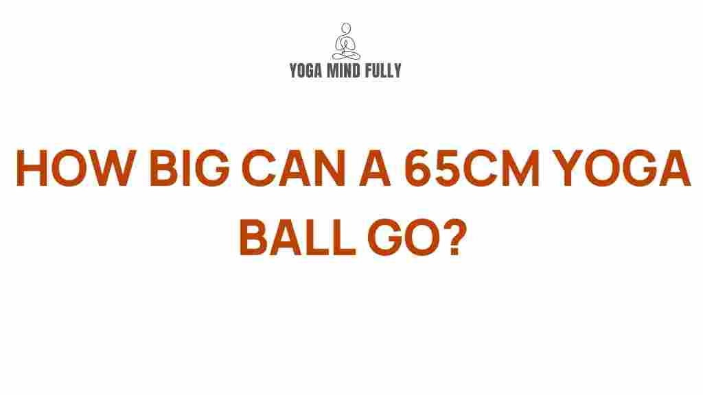 /65cm-yoga-ball-secrets